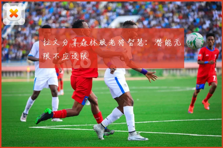 拉文分享森林狼老将智慧：潜能无限不应设限